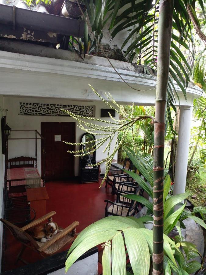 Traditional Kandyan House Ngoại thất bức ảnh