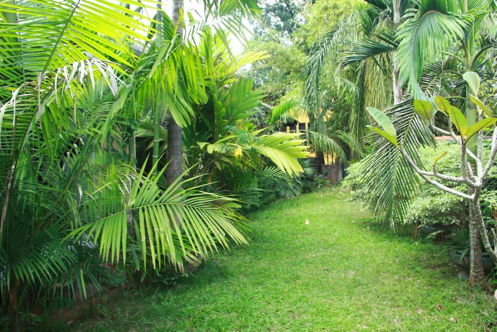 Traditional Kandyan House Ngoại thất bức ảnh
