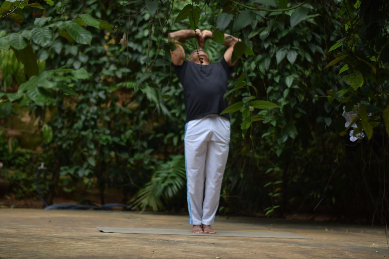 Traditional Kandyan House Ngoại thất bức ảnh